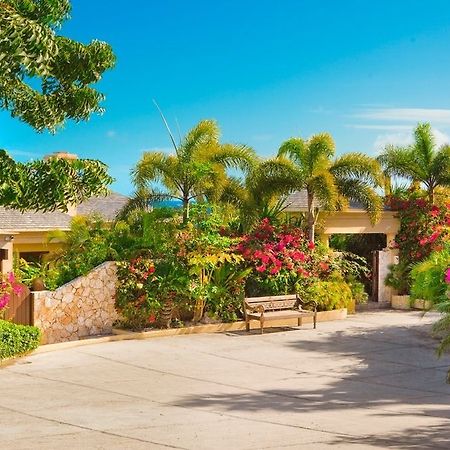 Anguilla'S Bird Of Paradise The Valley Exterior foto